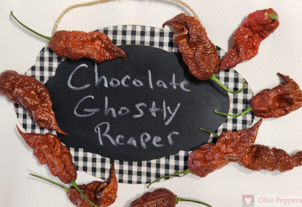 Chocolate Ghostly Reaper