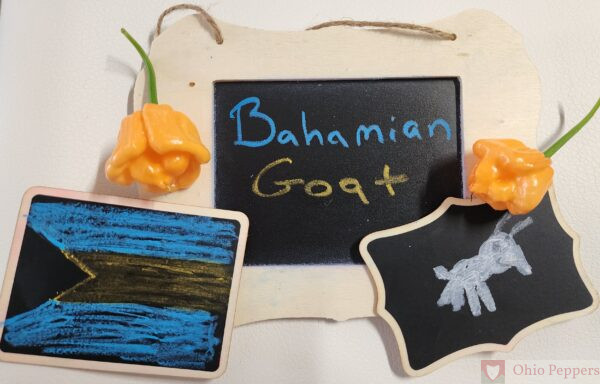 Bahamian Goat Pepper Seeds