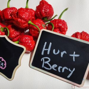 Hurt Berry pepper