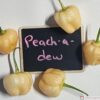Peachadew pepper seeds