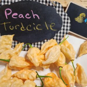 Peach Turdcicle seeds