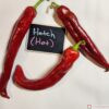 Hatch Hot pepper seeds