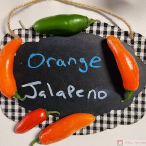 Orange Jalapeno