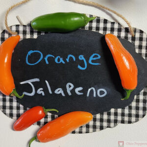 Orange Jalapeno