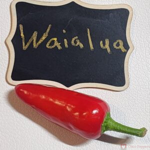 Waialua pepper seeds