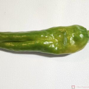 Hatch Chile