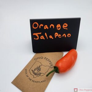 Orange Spice Jalapeno seeds