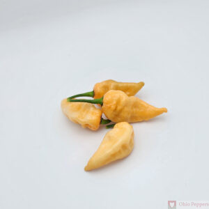 Reaper x Chupetinho Peach