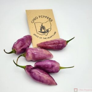 Bonda ma Jacques Purple seeds
