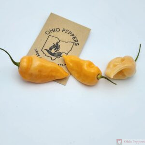 habanero x ghost peach