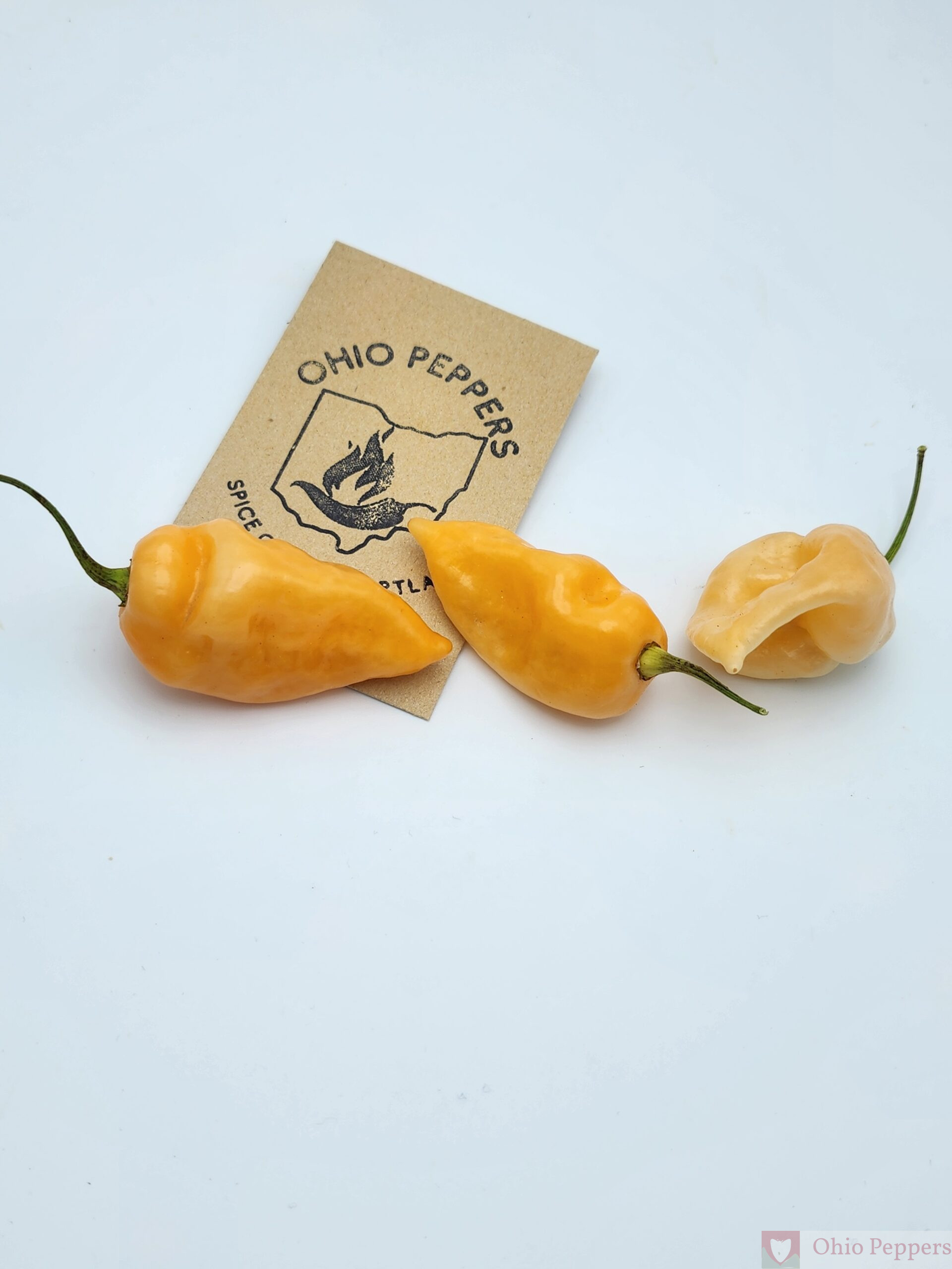 habanero x ghost peach