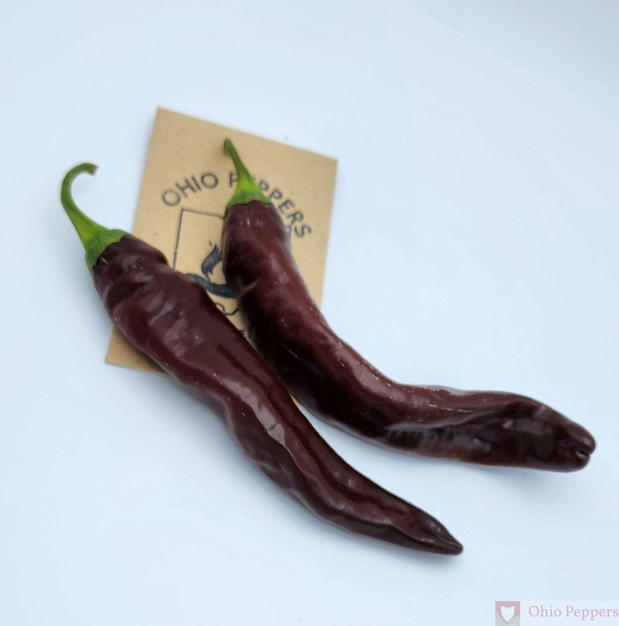 Mareko Fana - Image 4