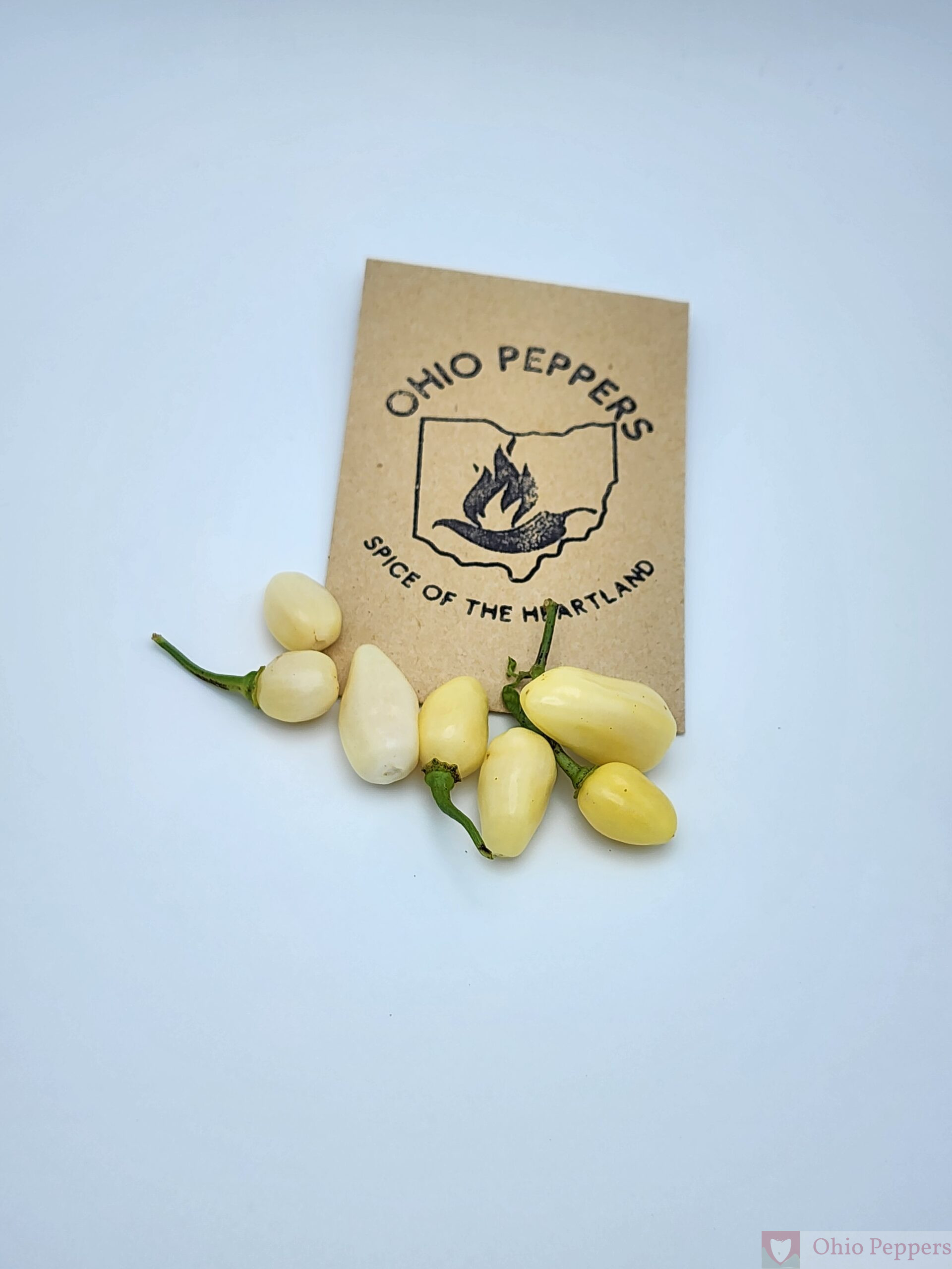 White Habanero - Image 5