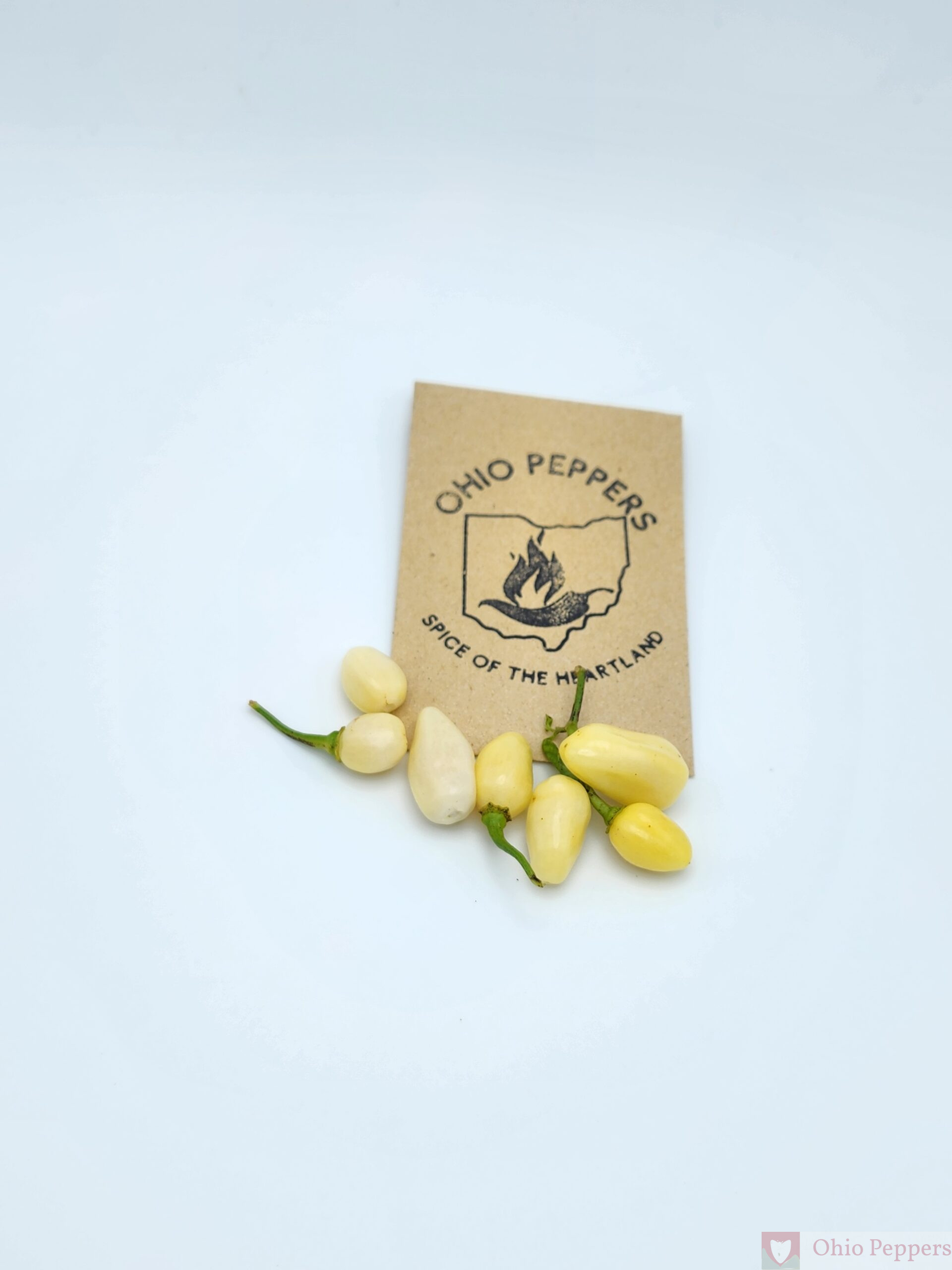 White Habanero - Image 3