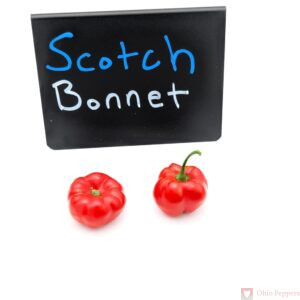 Scotch Bonnet Pepper Seeds