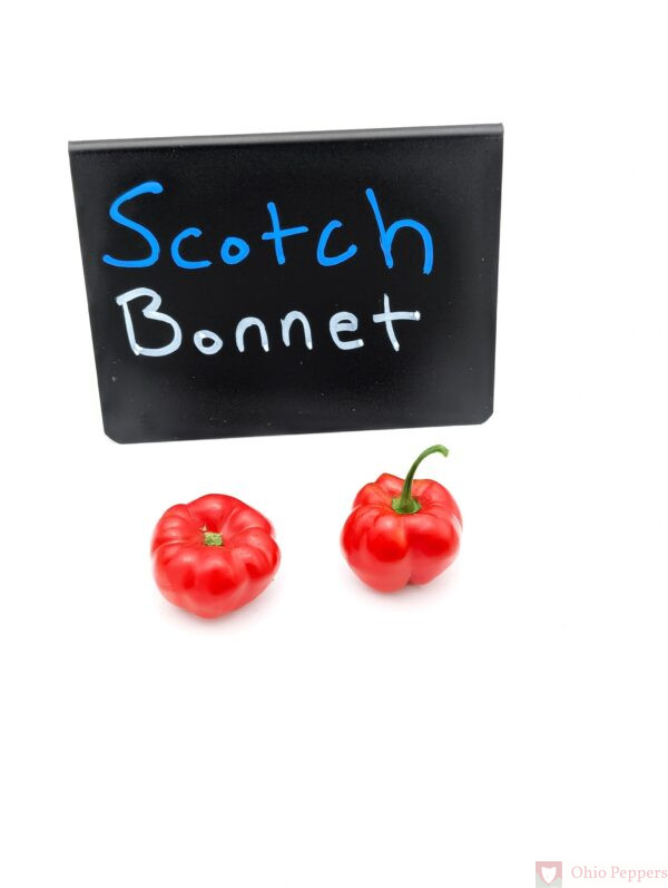 Scotch Bonnet Pepper Seeds