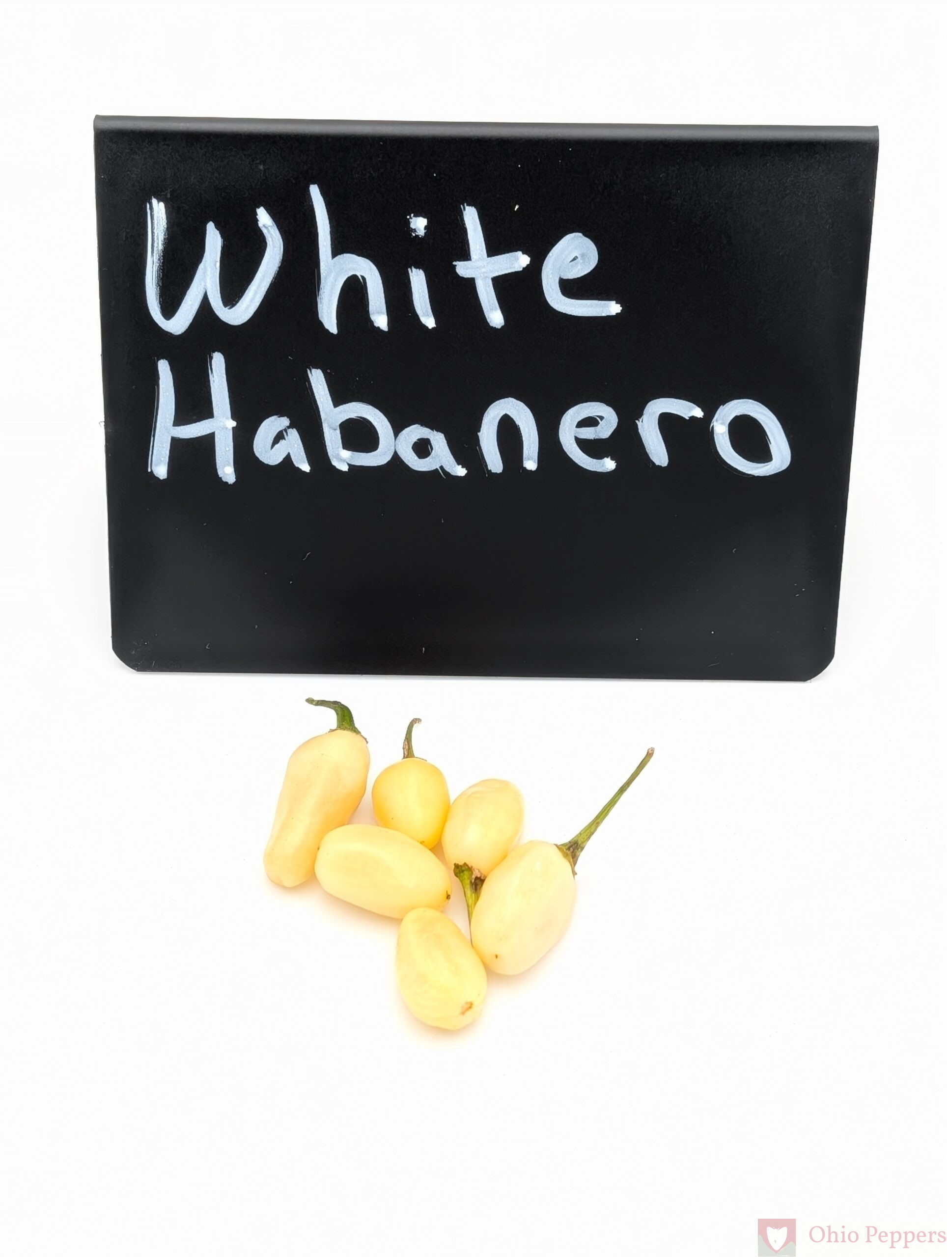 236 White habanero