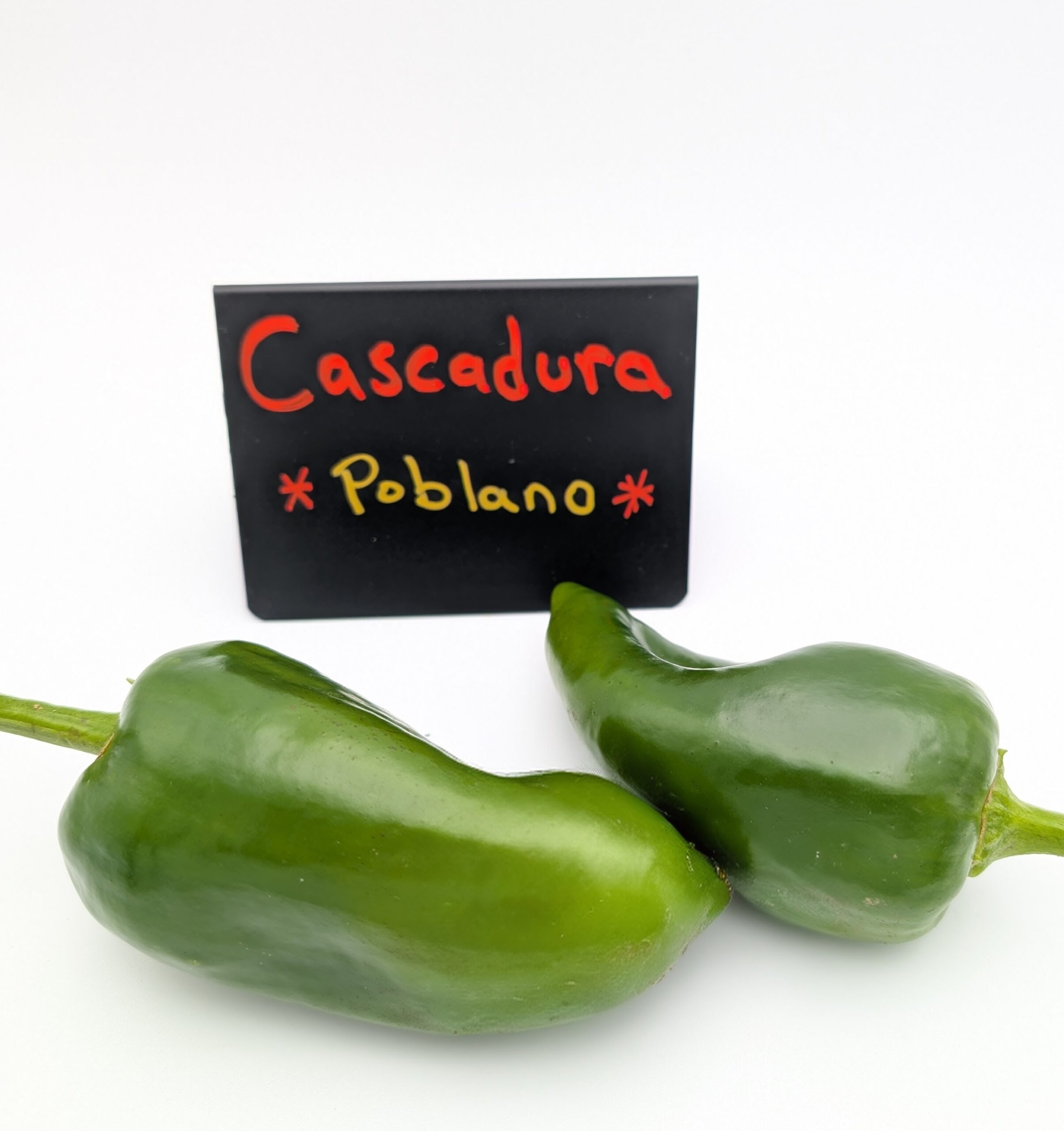 Cascadura - Image 2