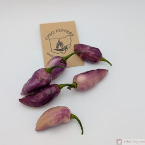 Bonda ma Jacques Purple seeds