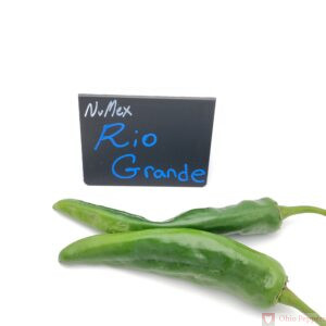 Rio Grande Pepper Seeds for sale