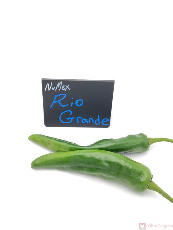 Rio Grande Pepper Seeds for sale