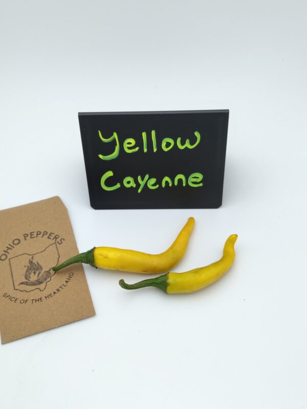 Golden Cayenne