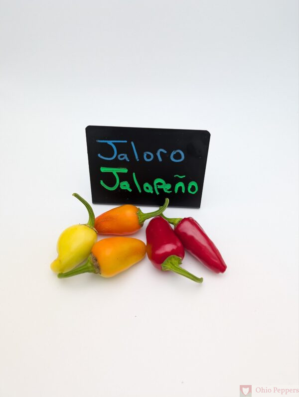 Jaloro Jalapeno