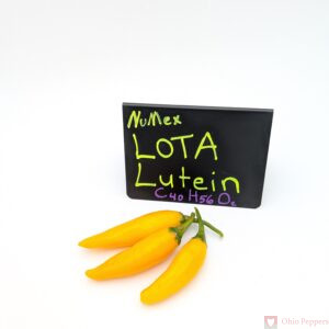 NuMex Lota Lutein