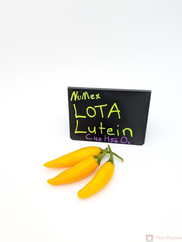 NuMex Lota Lutein