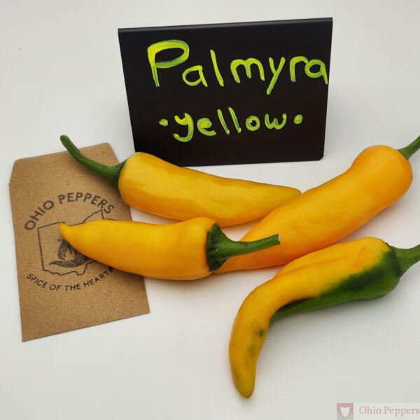 Palmyra, Yellow