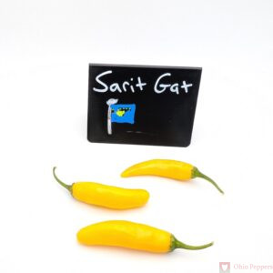 Sarit Gat pepper