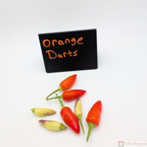 orange dart pepper