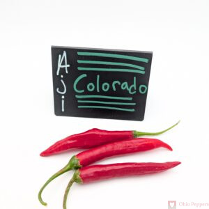 Aji Colorado Pepper Seeds