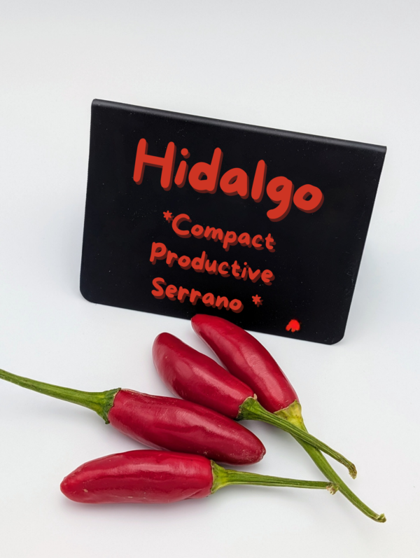 Hidalgo Chili