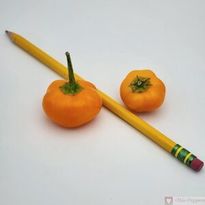 087 Yellow Mini Bell