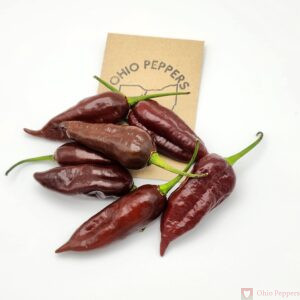 081 Chocolate Hot Paper Lantern