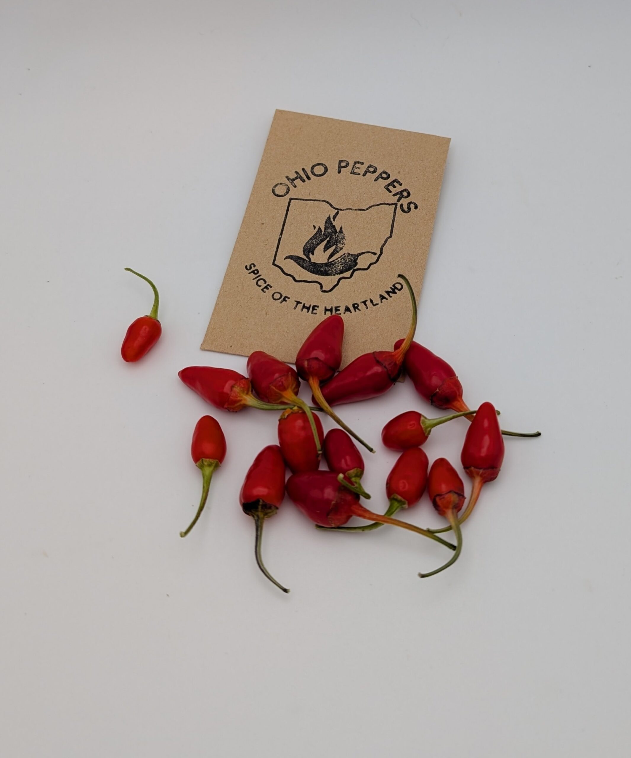 Variegated Pequin - Image 2