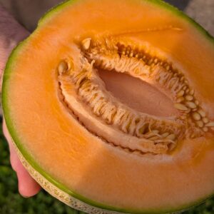 Cantaloupe, Hearts of Gold