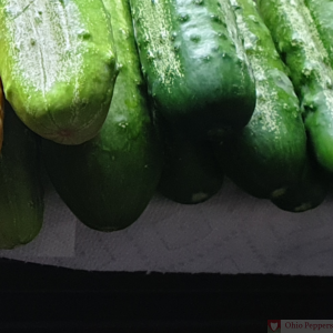 Cucumbers